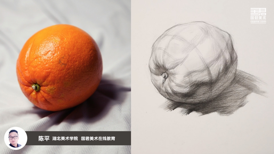 素描橘子 单个图片